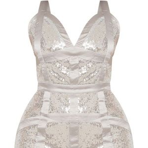 Panel  Bodycon Dress